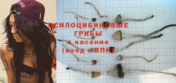 спайс Семёнов