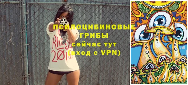 шишки Володарск